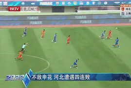 关于上海申花不敌江苏苏宁遭遇两连败的信息 关于上海申花不敌江苏苏宁遭遇两连败的信息