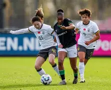 手机APP-荷兰女足队员在友谊赛事中展现出色表现(荷兰女足成员)